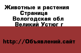  Животные и растения - Страница 10 . Вологодская обл.,Великий Устюг г.